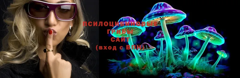 как найти   Михайловск  kraken зеркало  Галлюциногенные грибы Cubensis 